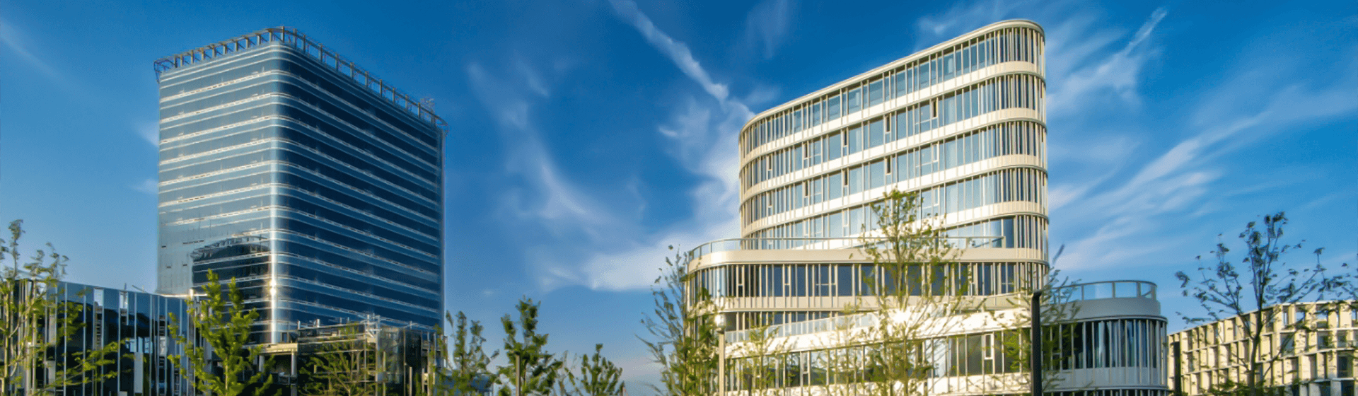 ���ξ���(�й�)�������޹�˾����